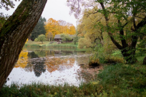 Decouvrez Center Parcs Les Bois-Francs en Normandie : tarifs, activites et conseils pratiques